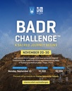Badr Challenge Image